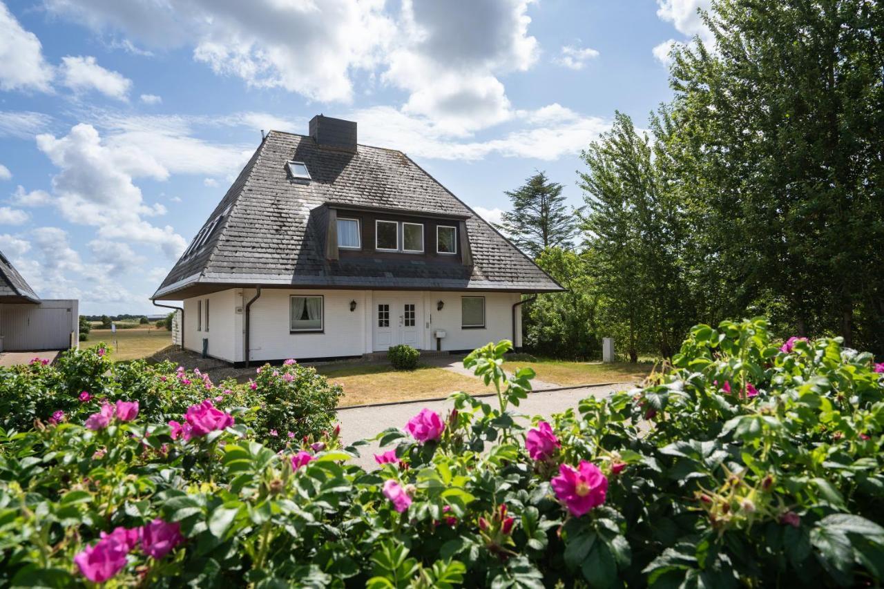 Michels Ferienwohnung Schoene Aussicht 摩尔苏姆 外观 照片